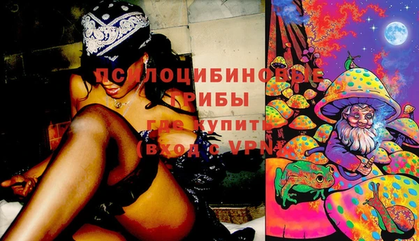 круглые Алзамай